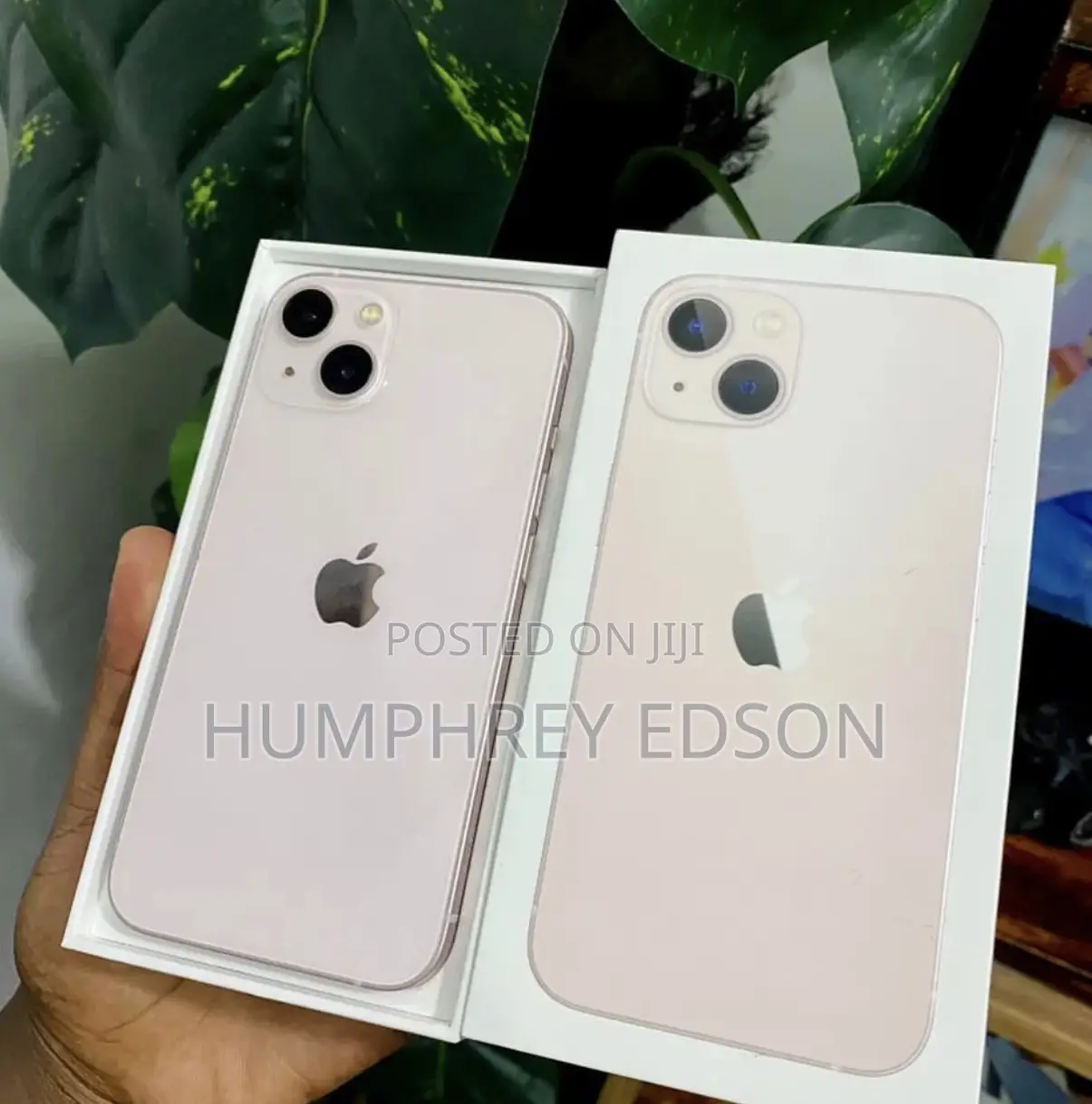 New Apple iPhone 13 128 GB Pink