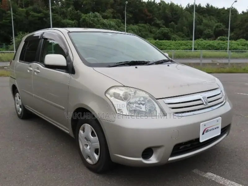 Toyota Raum 2003 Gray