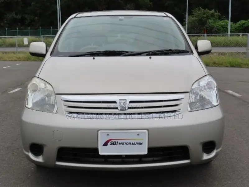 Toyota Raum 2003 Gray