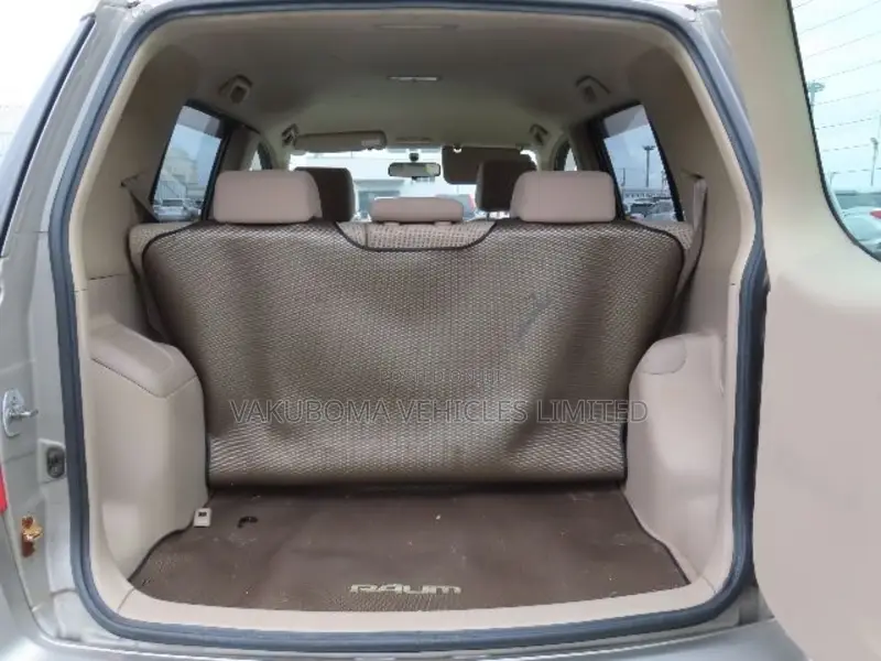 Toyota Raum 2003 Gray