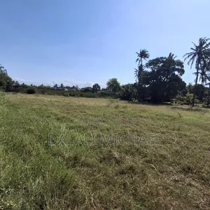 Secondly Beach Plot for Sale