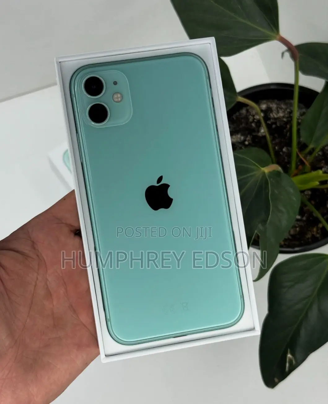 New Apple iPhone 11 128 GB Green