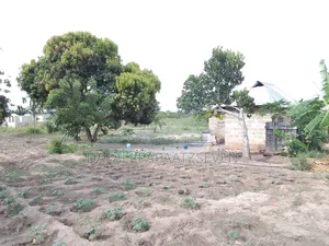 Eneo Lenye Ukubwa Wa Heka 2 Linauzwa Lipo Kibaha Kongowe