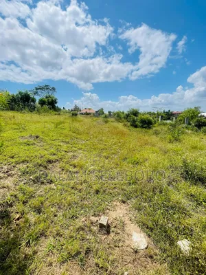 Plot at Makongo Juu Mwanzoni Hecta 1.4