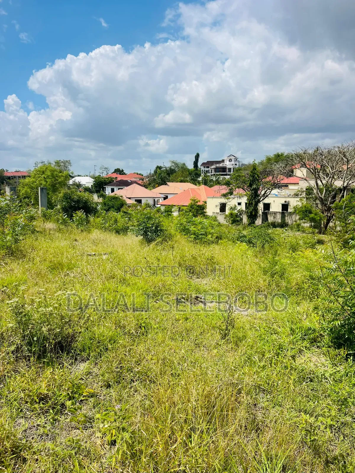 Plot at Makongo Juu Mwanzoni Hecta 1.4