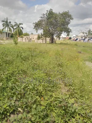 Kiwanja Sqmita 225 Kinauzwa Milioni 5 Majohe Viwege.