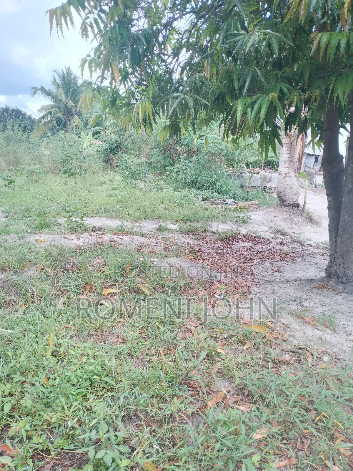 Kiwanja Sqmita 150 Kinauzwa Milioni 3.8 Majohe Viwege.