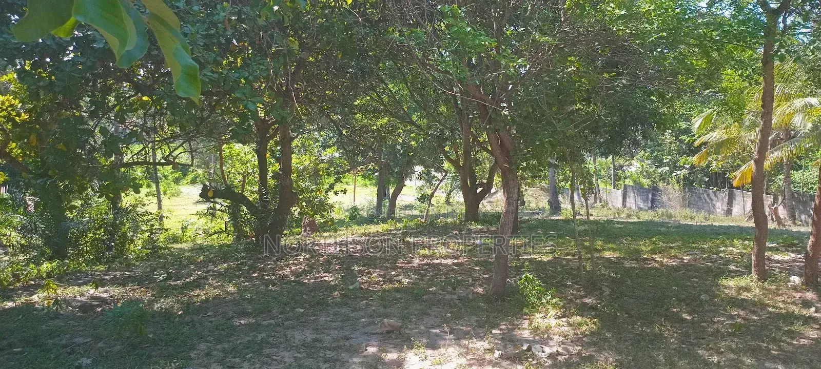Industrial Plot in Mbagala Rangi 3