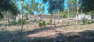 Industrial Plot in Mbagala Rangi 3