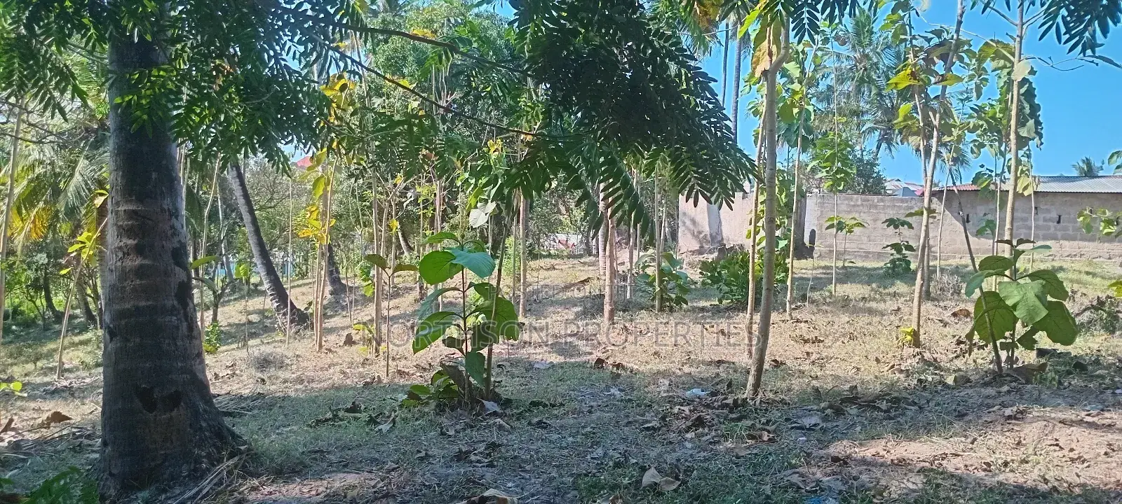 Industrial Plot in Mbagala Rangi 3
