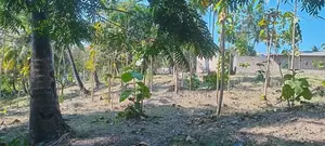 Industrial Plot in Mbagala Rangi 3