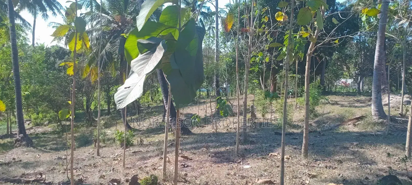 Industrial Plot in Mbagala Rangi 3