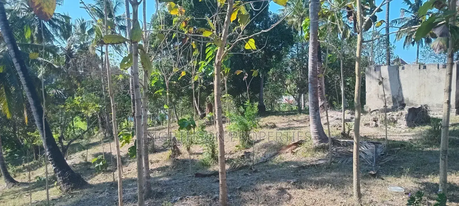 Industrial Plot in Mbagala Rangi 3