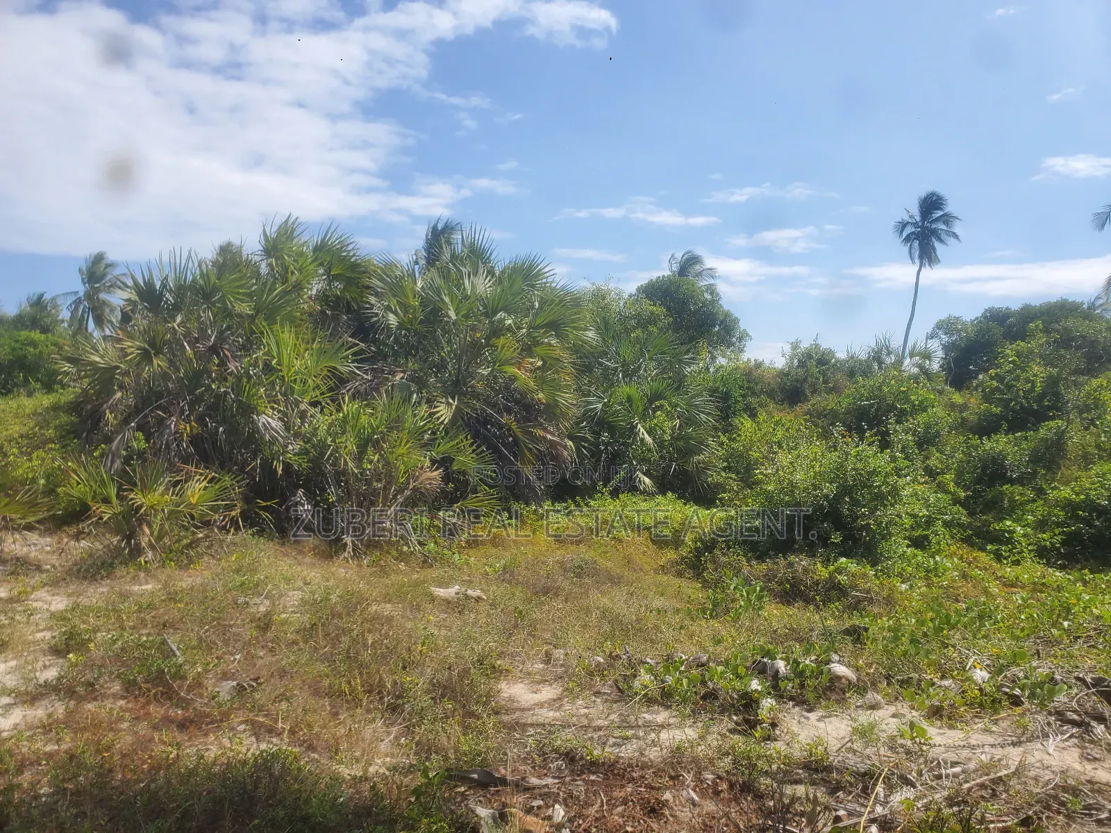 Ushongo the Heart of Pangani Beach Plot on Sale.