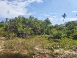 Ushongo the Heart of Pangani Beach Plot on Sale.