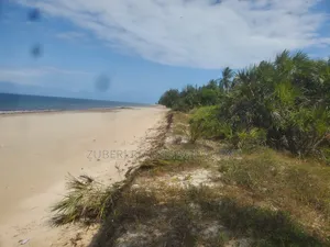 Ushongo the Heart of Pangani Beach Plot on Sale.