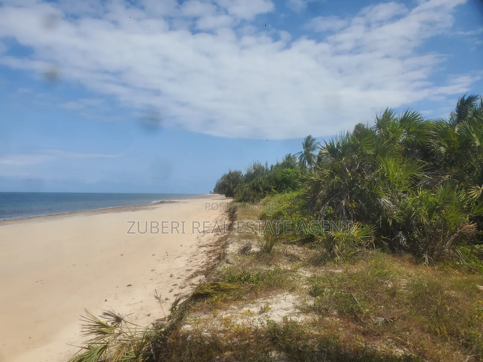 Ushongo the Heart of Pangani Beach Plot on Sale.