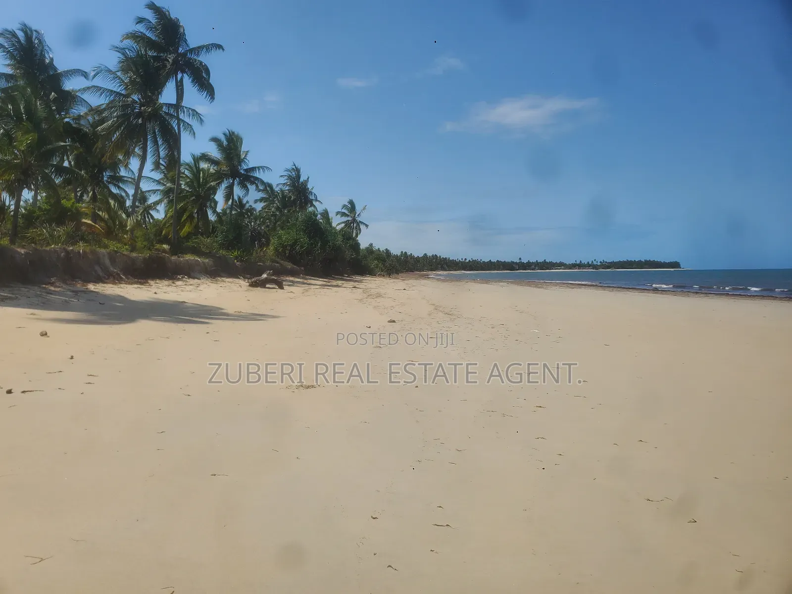 Ushongo the Heart of Pangani Beach Plot on Sale.