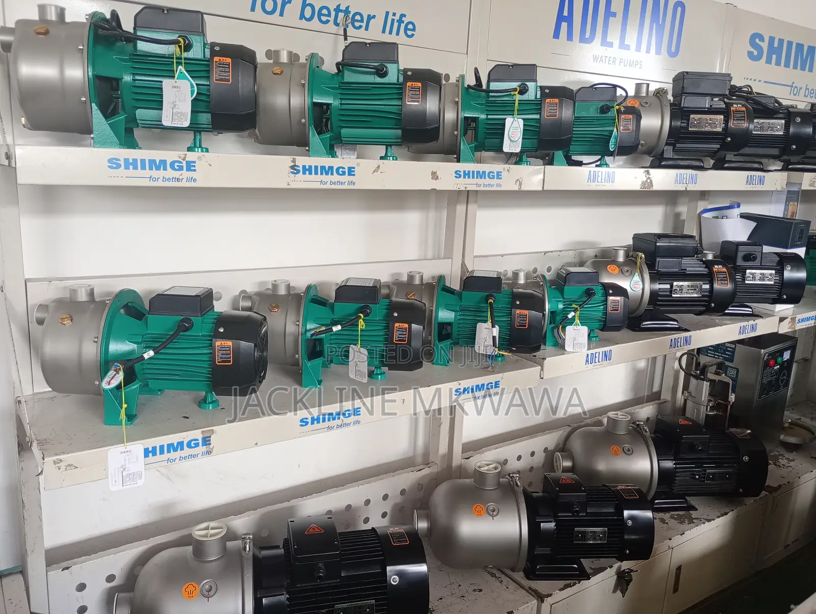Surface and Submersible Pump