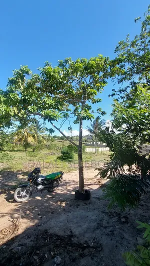 Plot 1hecta At Goba Kulangwa