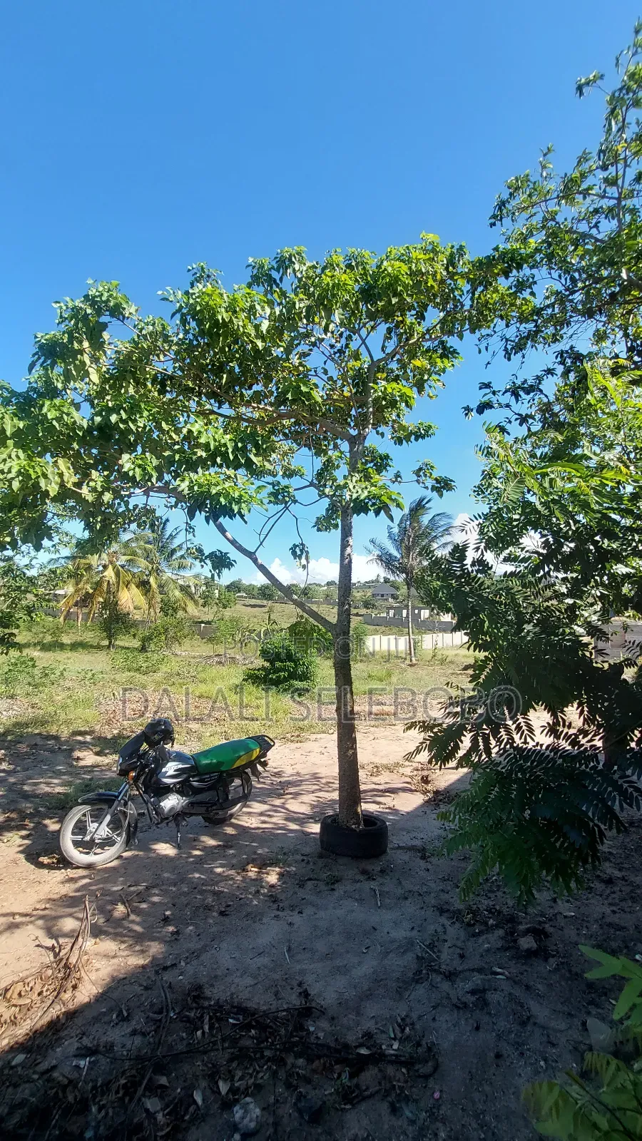 Plot 1hecta At Goba Kulangwa