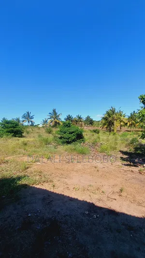 Plot 1hecta At Goba Kulangwa