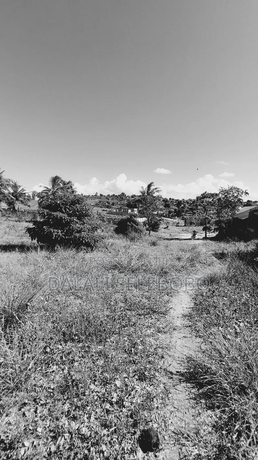 Plot 1hecta At Goba Kulangwa
