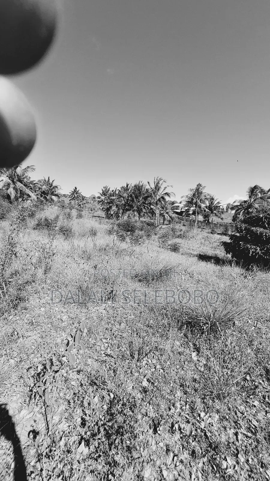 Plot 1hecta At Goba Kulangwa