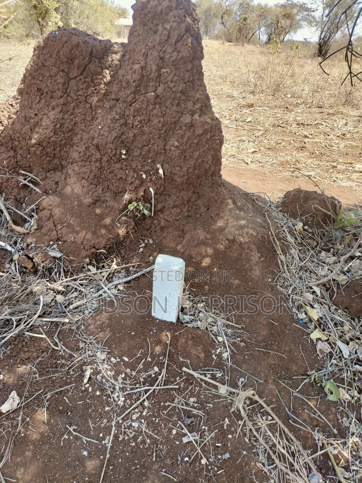 Plot for Sale Arusha Kikwe