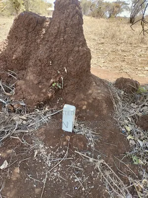 Plot for Sale Arusha Kikwe
