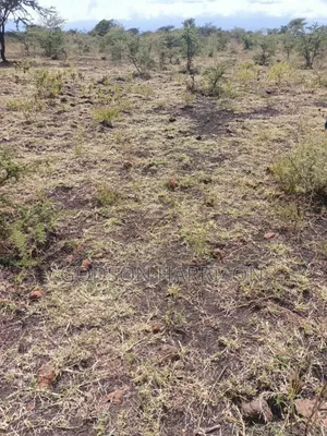 Shamba Hekari 2 Linauzwa Kikwe Arusha