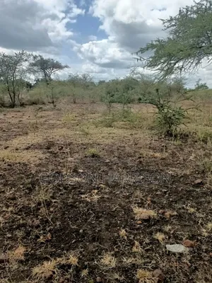 Shamba Hekari 2 Linauzwa Kikwe Arusha