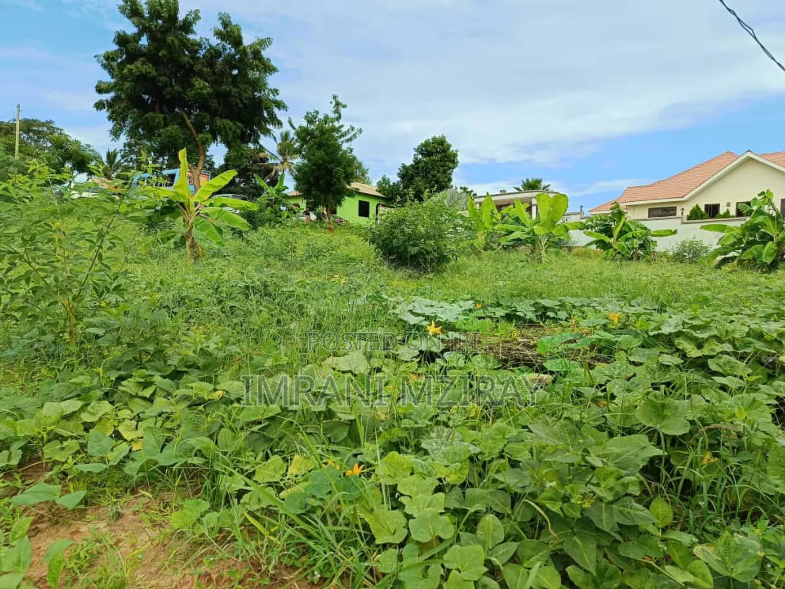 Madale Big Plot Sale at 55000sqmts