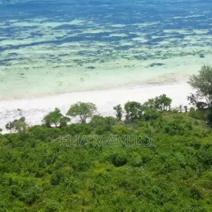 White Sand Beach Front for Sale in Michamvi Zanzibar