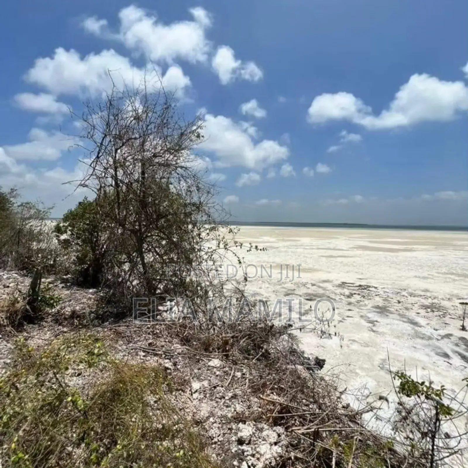 White Sand Beach Front for Sale in Michamvi Zanzibar
