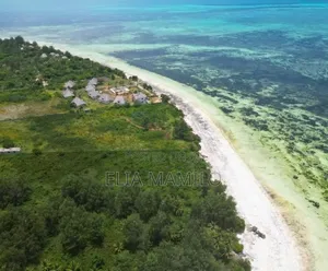 White Sand Beach Front for Sale in Michamvi Zanzibar