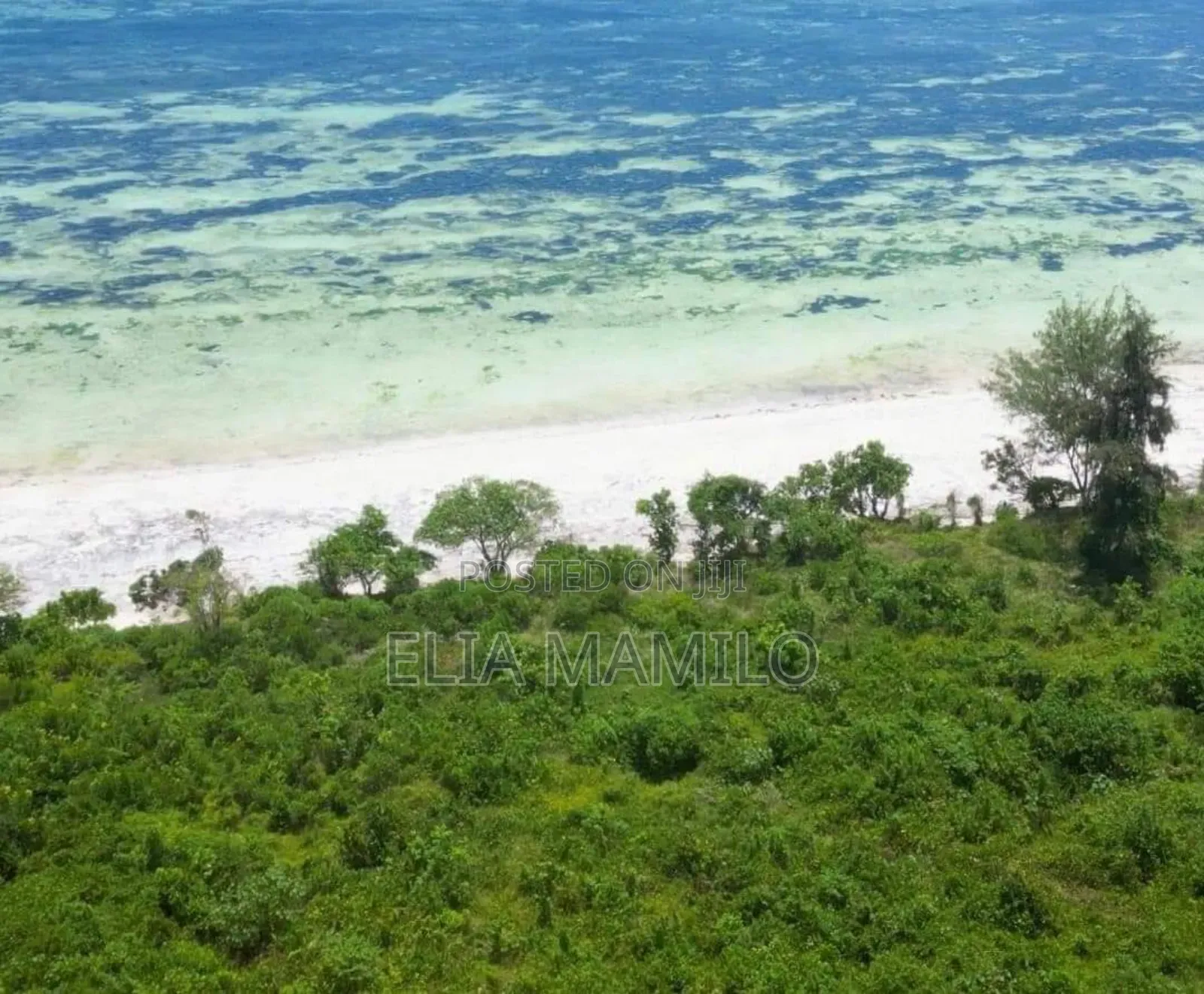 White Sand Beach Front for Sale in Michamvi Zanzibar