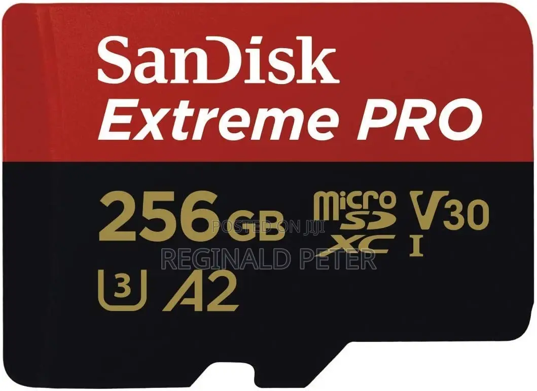 Memory Card 256 Gb