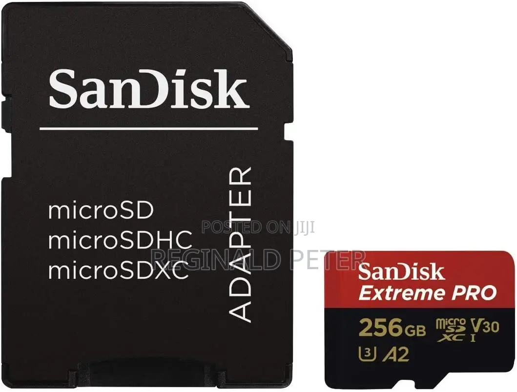 Memory Card 256 Gb