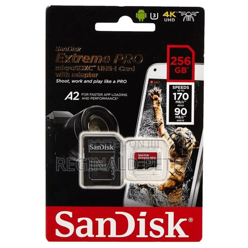 Memory Card 256 Gb