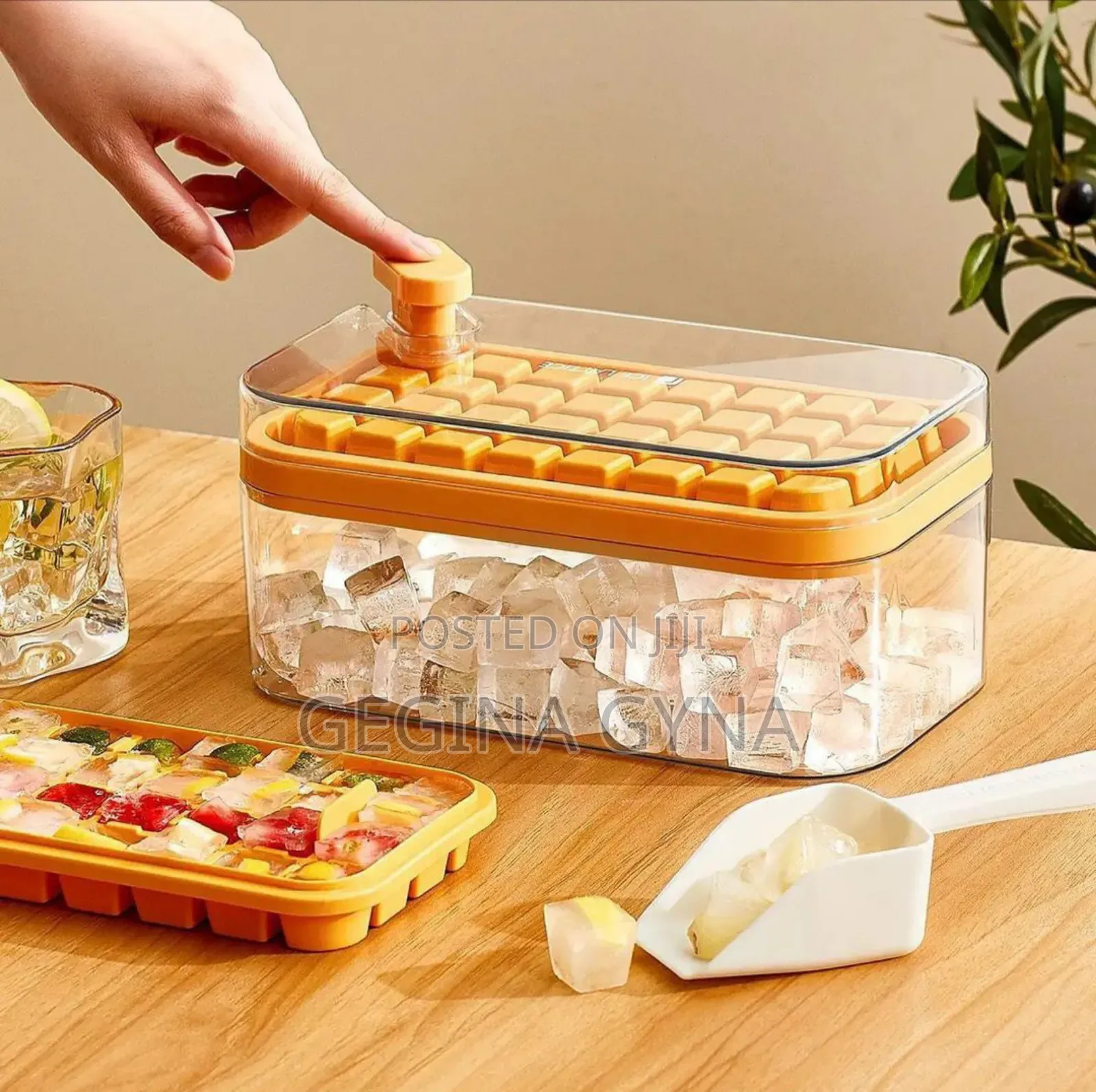 Ice Cube Trays