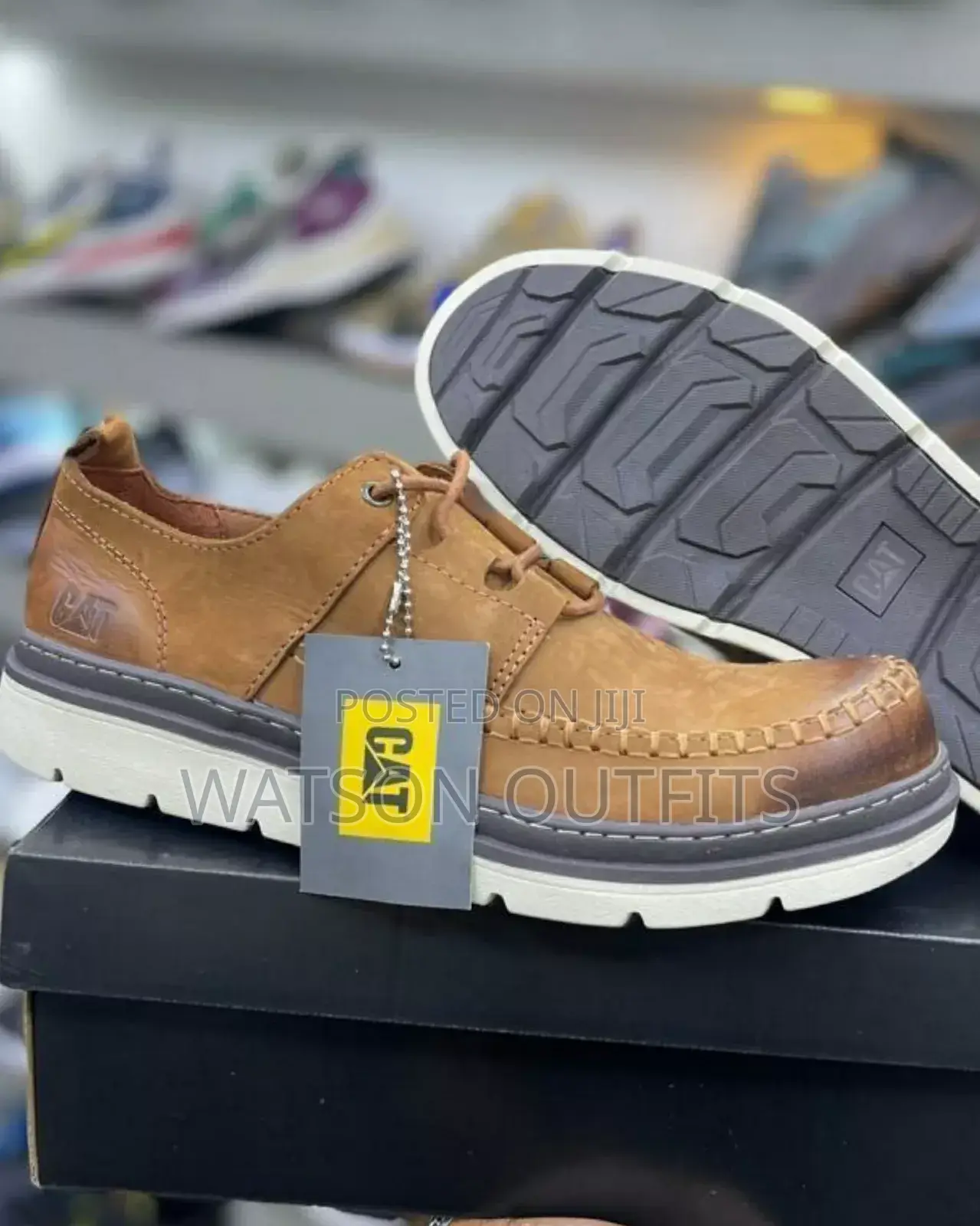 Cat Footwears/Men Shoes