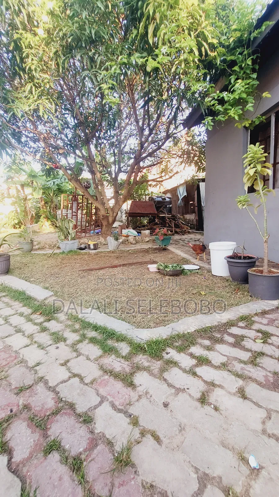 6bdrm Bungalow in Salasala Kilima Hewa, Kinondoni for sale