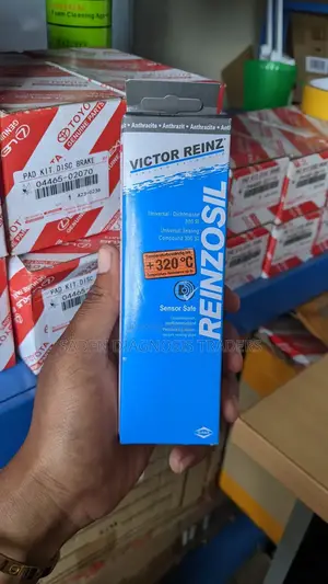 Reinzosil Gasket Maker
