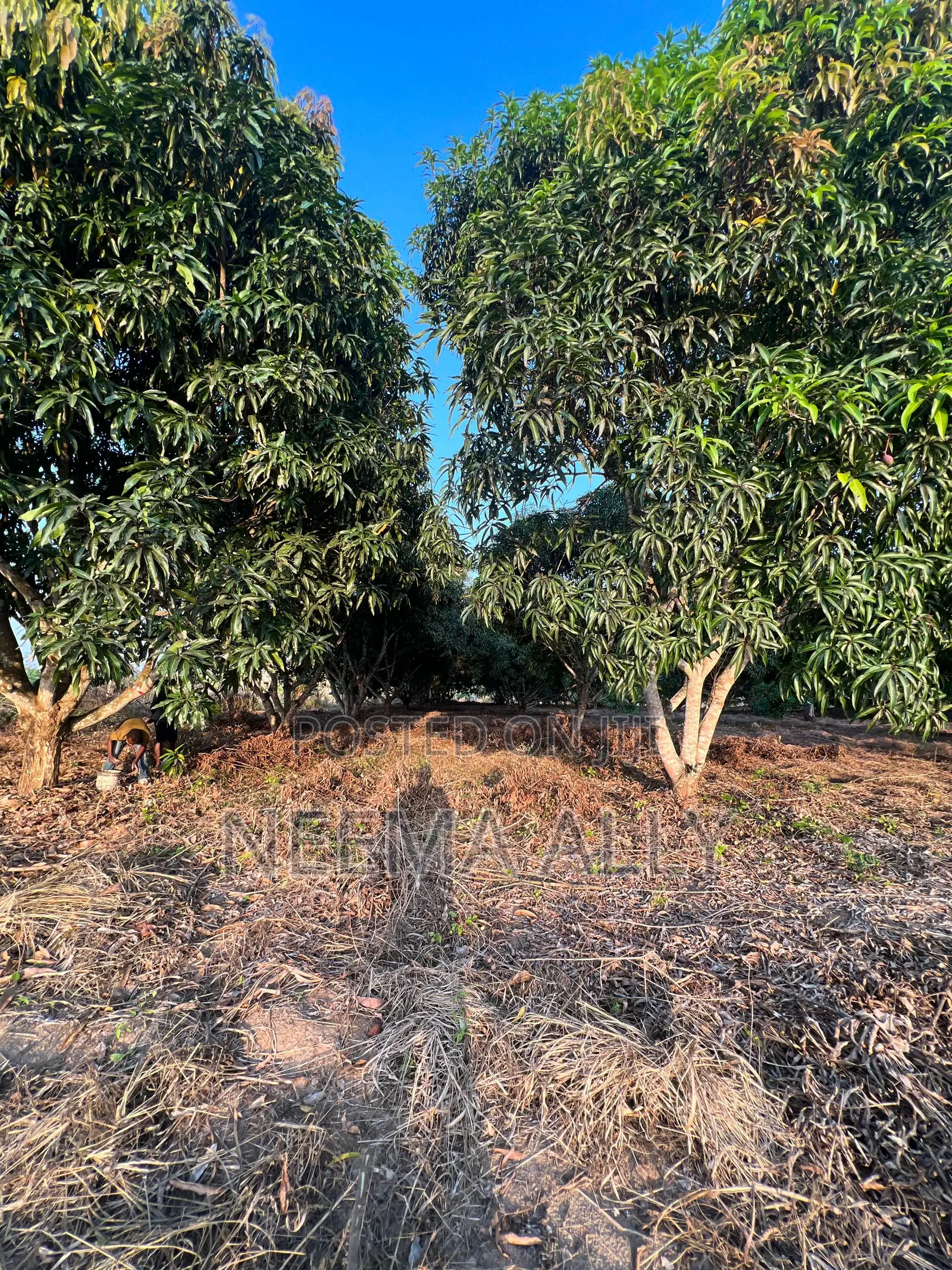 Viwanja Kibaha Karibu Na Barabara Kuu