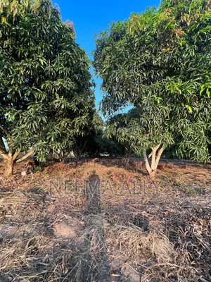 Viwanja Kibaha Karibu Na Barabara Kuu