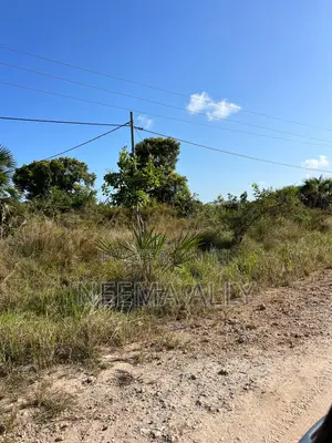 Kiwanja Karibu Na Fukwe Kimbiji Moris