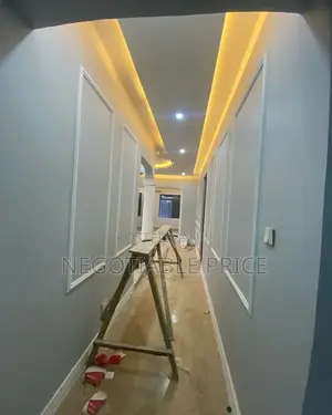 Professional Installer and 3D Wall Moulding Experts