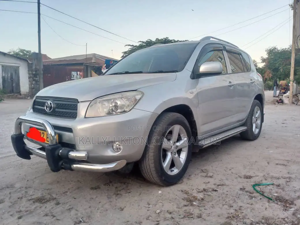 Toyota RAV4 2009 Silver