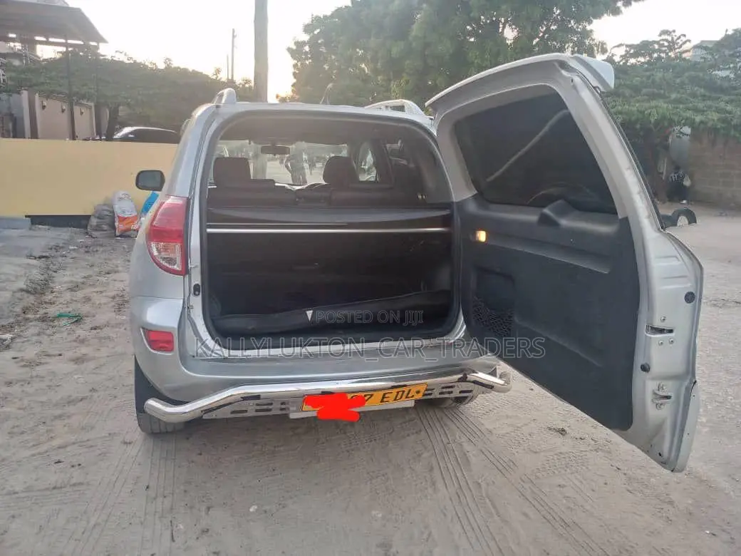 Toyota RAV4 2009 Silver